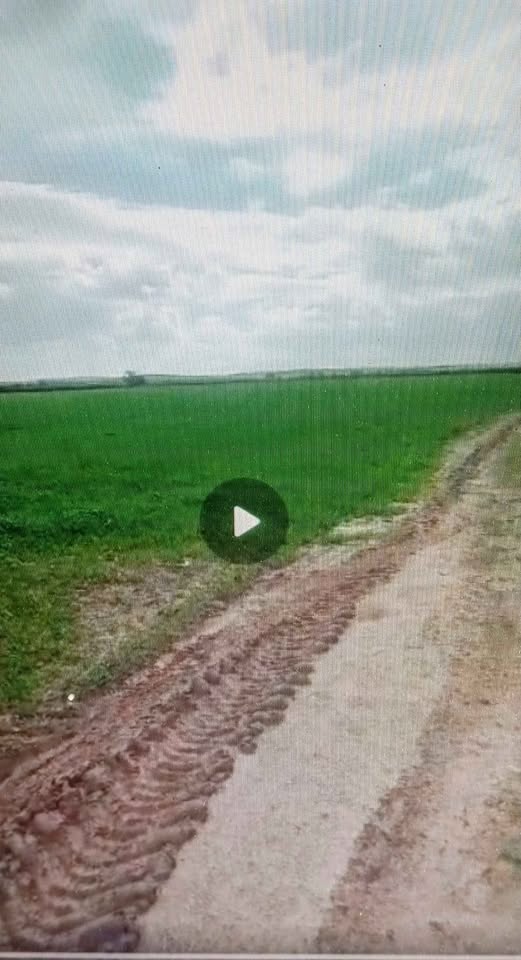 El Aroussa&nbsp;El Aroussa&nbsp;Terrain&nbsp;Terrain agricole&nbsp;Bon terrainsiliana