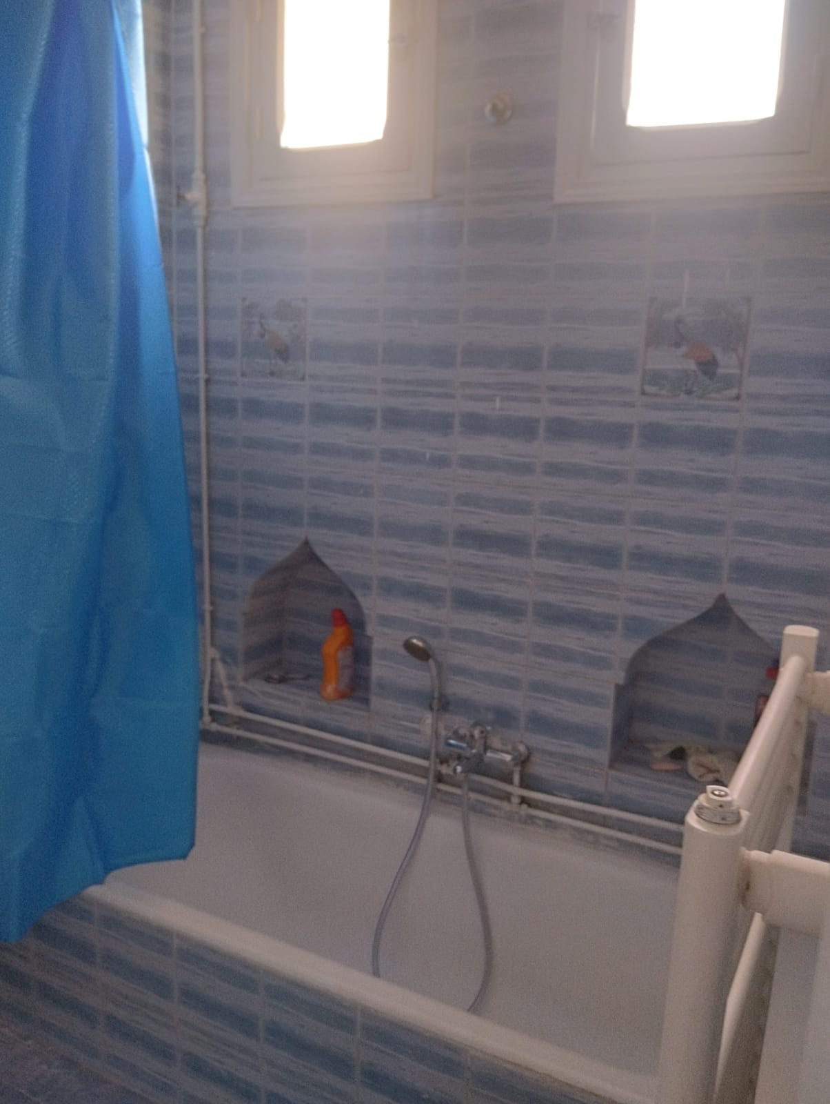 Ariana Ville&nbsp;El Menzah 7&nbsp;Location&nbsp;Appart. 3 pi�ces&nbsp;Appartement s3 menzah 7