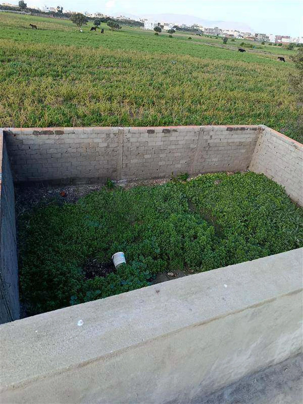 Kelibia&nbsp;Dar Allouche&nbsp;Vente&nbsp;Maisons&nbsp;Villa � dar allouche opportunit� rare