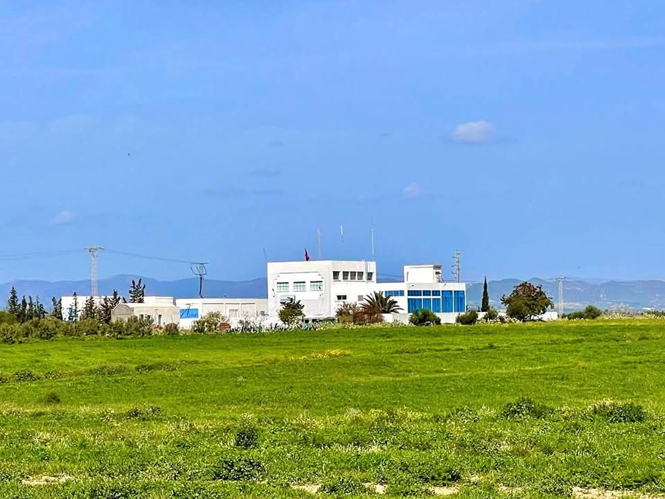 Bou Ficha&nbsp;Ain Errahma&nbsp;Vente&nbsp;Surfaces&nbsp;Terrain 175m