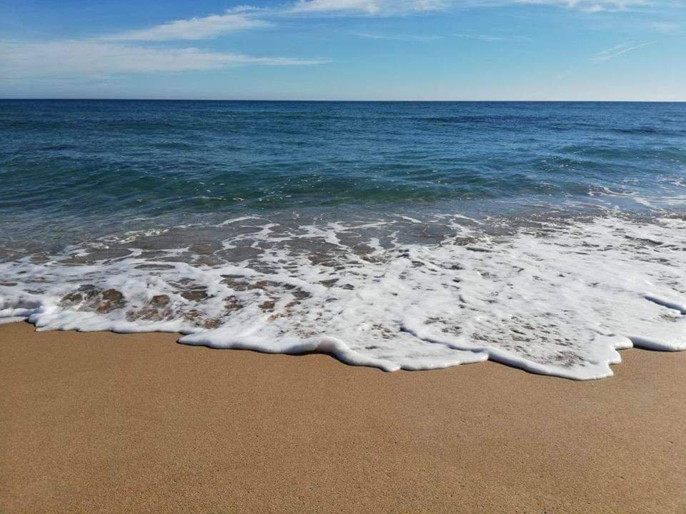 El Haouaria&nbsp;El Haouaria&nbsp;Terrain&nbsp;Terrain nu&nbsp;Terrain � 900m de la plage