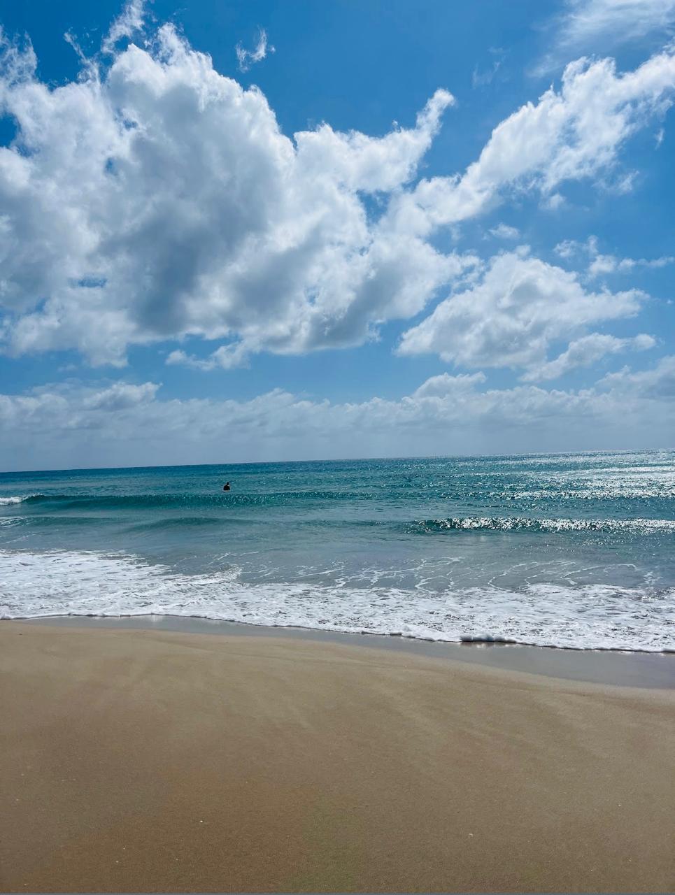 El Haouaria&nbsp;El Haouaria&nbsp;Terrain&nbsp;Terrain nu&nbsp;Terrain � 900m de la plage