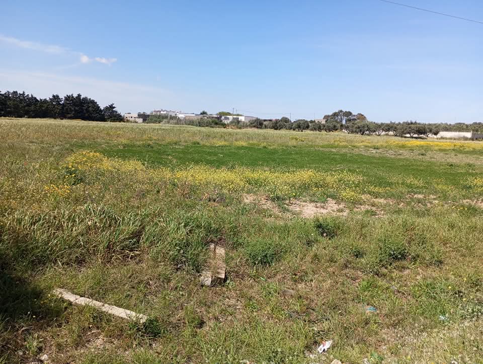 El Haouaria&nbsp;El Haouaria&nbsp;Terrain&nbsp;Terrain nu&nbsp;Terrain sur rue principale � el haouaria