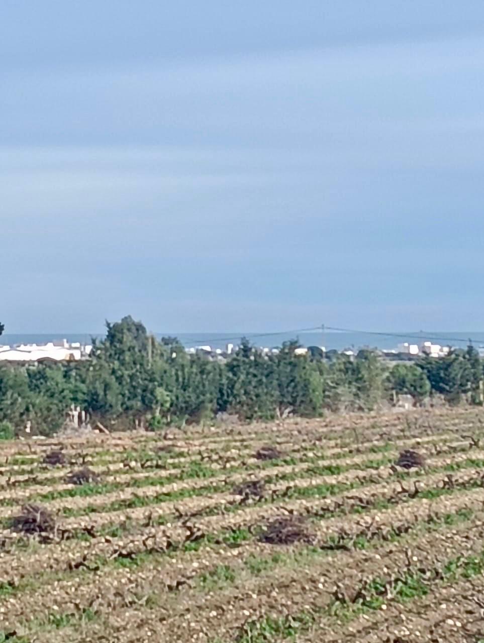 Kelibia&nbsp;Kelibia&nbsp;Terrain&nbsp;Terrain nu&nbsp;Lotissement r�sidentiel � rendpoind flouka