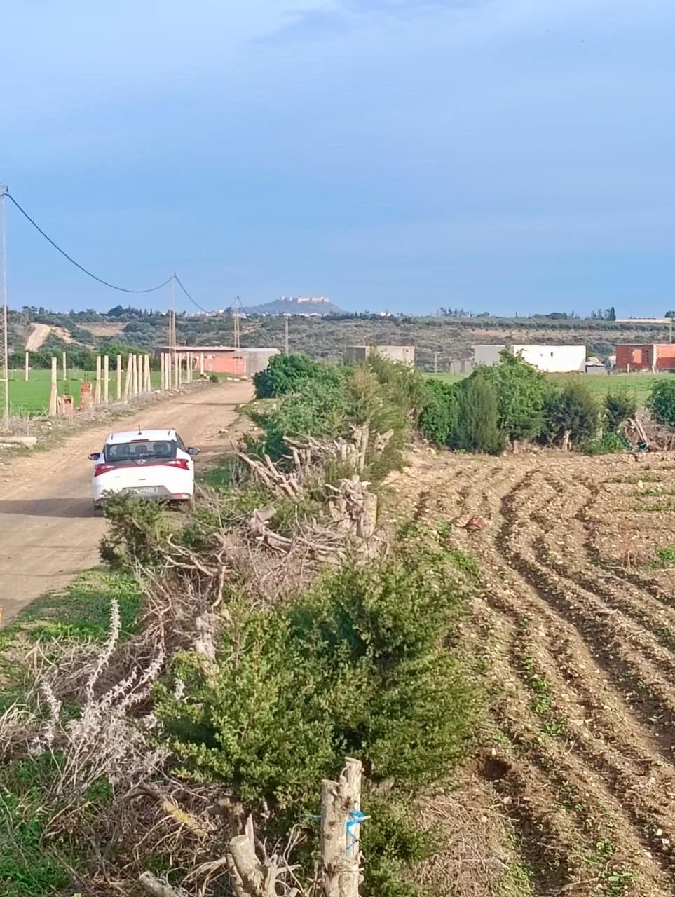 Kelibia&nbsp;Kelibia&nbsp;Terrain&nbsp;Terrain nu&nbsp;Opportunit� � kilibia