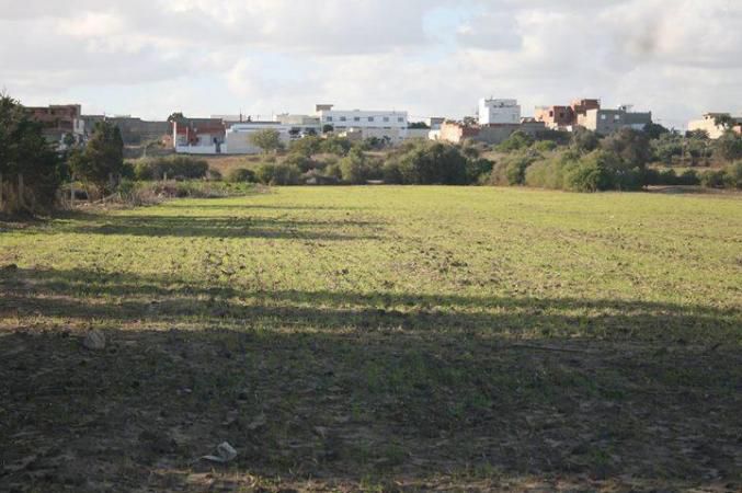 Menzel Temime&nbsp;Sidi Jameleddine&nbsp;Terrain&nbsp;Terrain nu&nbsp;Terrain � sidi jameleddine