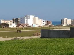 Menzel Temime&nbsp;Sidi Jameleddine&nbsp;Terrain&nbsp;Terrain nu&nbsp;Terrain � sidi jameleddine