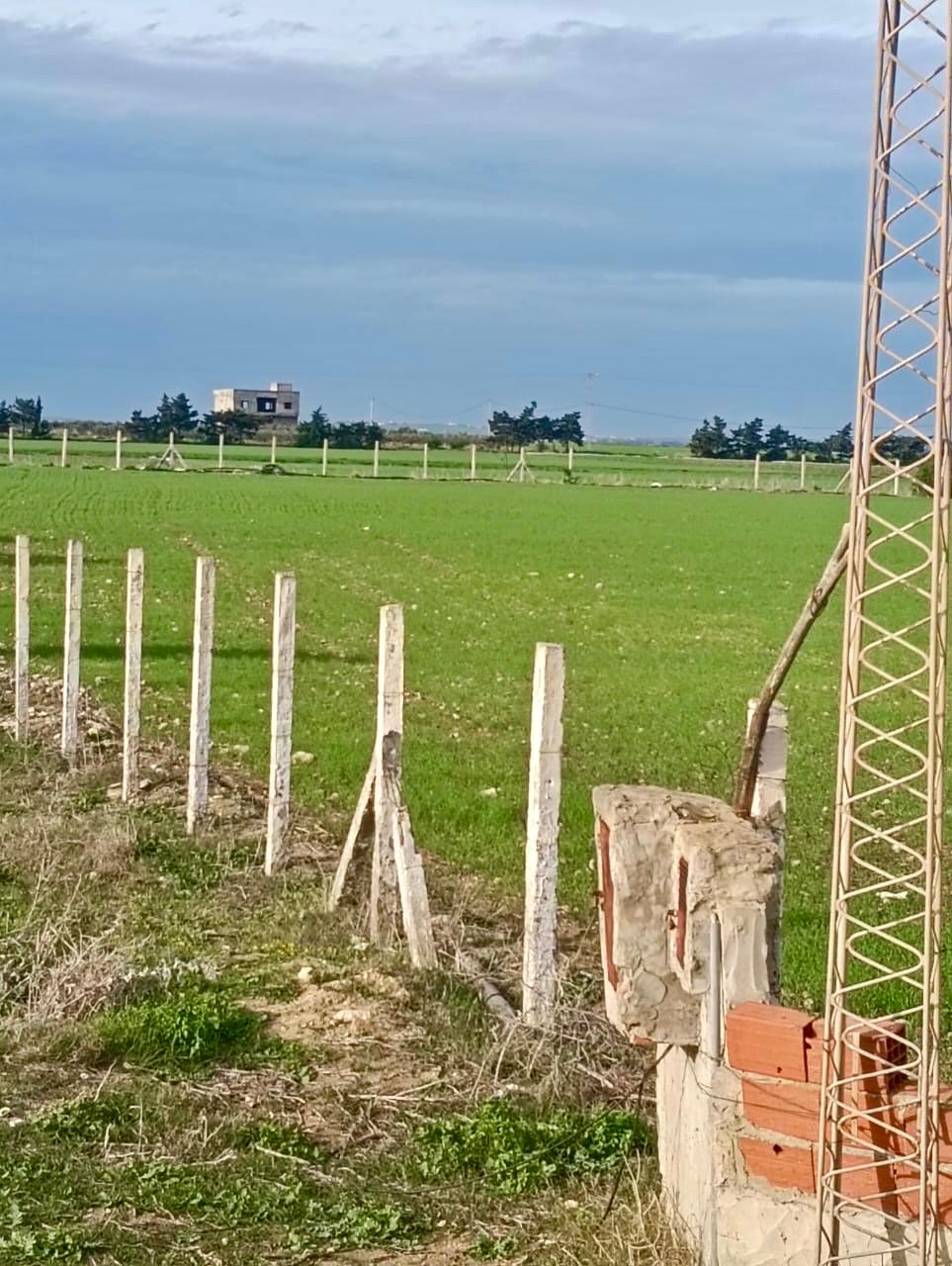 Kelibia&nbsp;Kelibia&nbsp;Terrain&nbsp;Terrain nu&nbsp;Oppotunit� k�libiaa