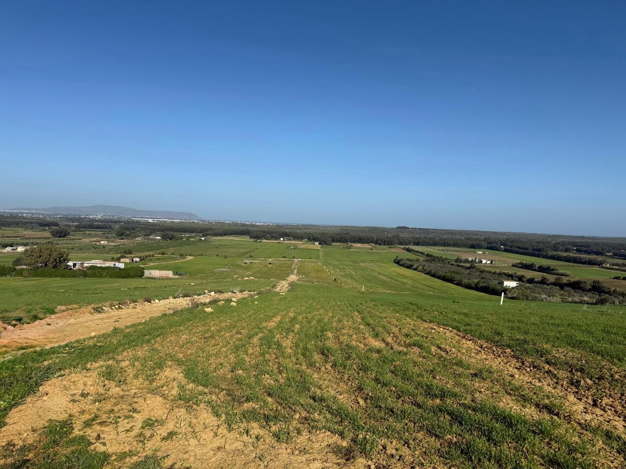 Kelibia&nbsp;Azmour&nbsp;Terrain&nbsp;Terrain nu&nbsp;Petit budget 2026