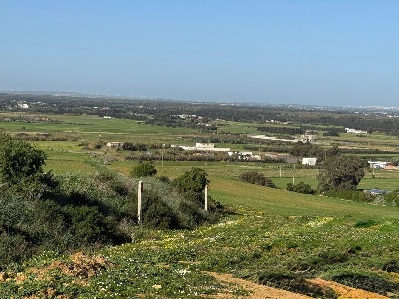 Kelibia&nbsp;Azmour&nbsp;Terrain&nbsp;Terrain nu&nbsp;Id�al pour premier  invetissement