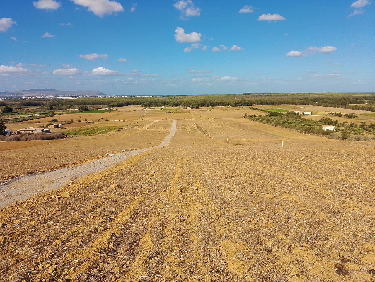 Kelibia&nbsp;Azmour&nbsp;Terrain&nbsp;Terrain agricole&nbsp;Opportunite a ne pas rater a kelibia azmour