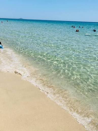 Menzel Temime&nbsp;Sidi Jameleddine&nbsp;Terrain&nbsp;Terrain nu&nbsp;Terrain  a sidi    jammel eddine