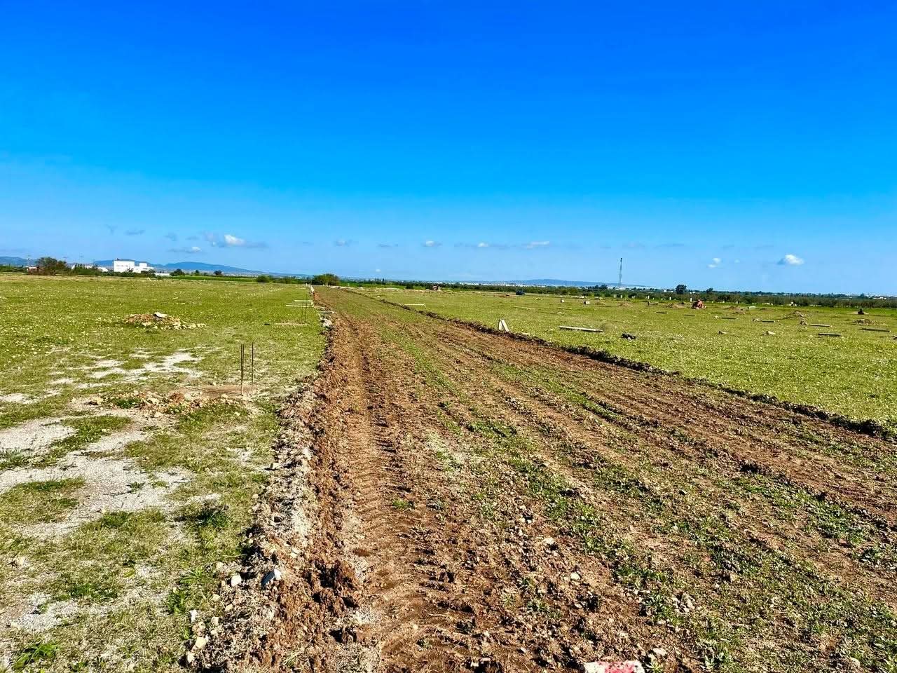 Bou Ficha&nbsp;Bou Ficha&nbsp;Terrain&nbsp;Terrain agricole&nbsp;Terrain a prix  wow