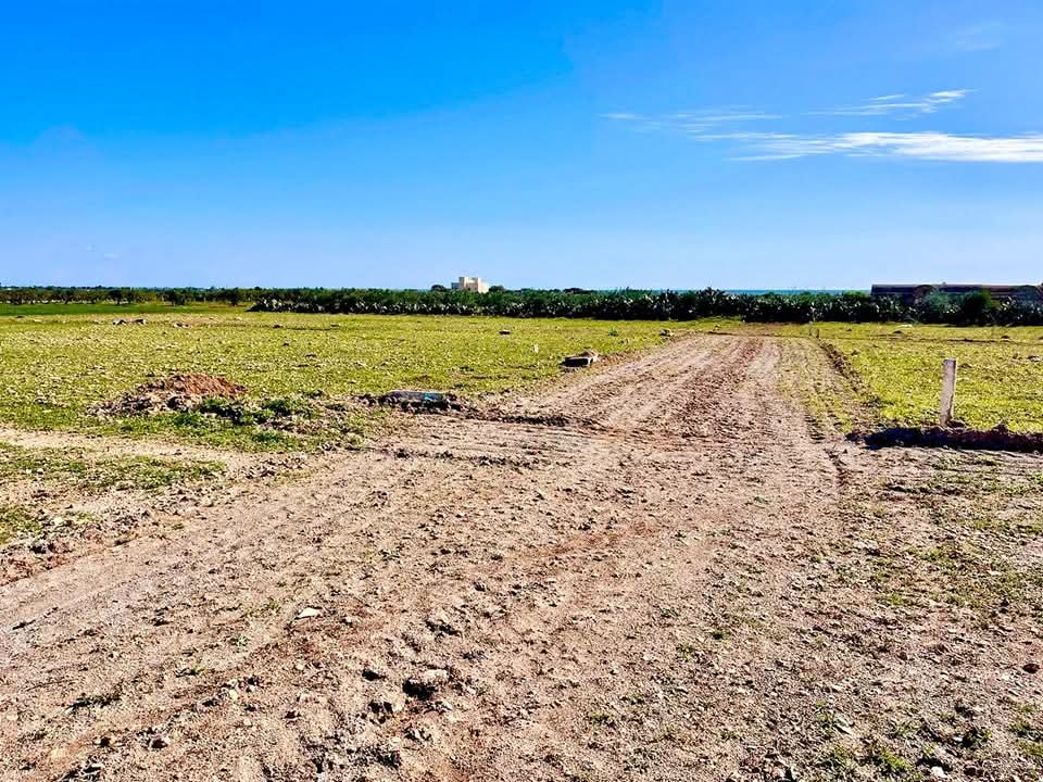 Bou Ficha&nbsp;Bou Ficha&nbsp;Terrain&nbsp;Terrain agricole&nbsp;Terrain a bouficha  avec prix  choc