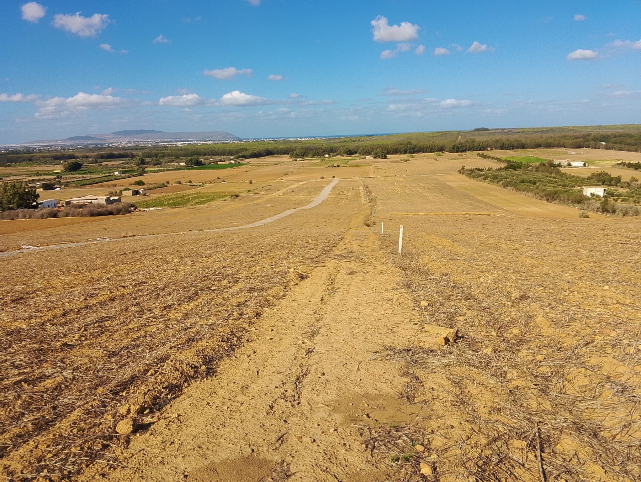 Kelibia&nbsp;Azmour&nbsp;Terrain&nbsp;Terrain agricole&nbsp;100 m2 a 9900 dt