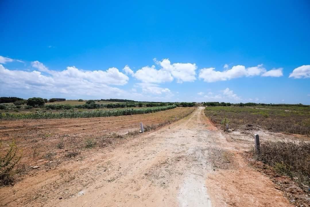 El Haouaria&nbsp;El Haouaria&nbsp;Terrain&nbsp;Terrain agricole&nbsp;Terrain a el haouaria cap bon