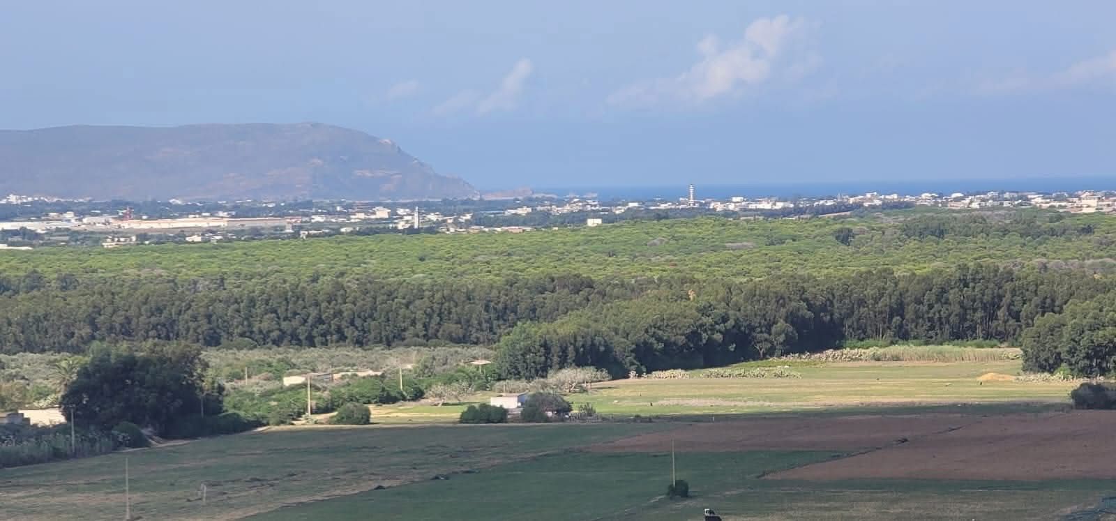 Kelibia&nbsp;Azmour&nbsp;Terrain&nbsp;Terrain agricole&nbsp;Terrain avec prix  exceptionnel