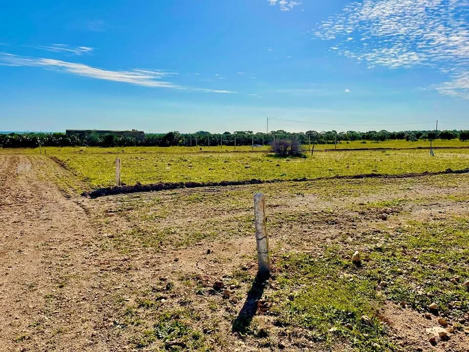 Bou Ficha&nbsp;Bou Ficha&nbsp;Terrain&nbsp;Terrain agricole&nbsp;Un terrain a un prix raisonnable a ne pas rater