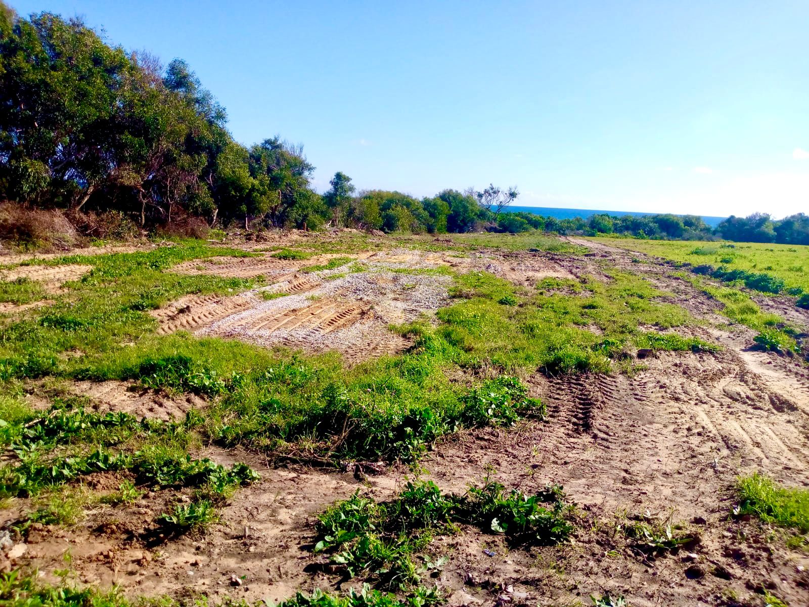 Kelibia&nbsp;Kerkouane&nbsp;Terrain&nbsp;Terrain nu&nbsp;Offre sp�cial � kerkouane