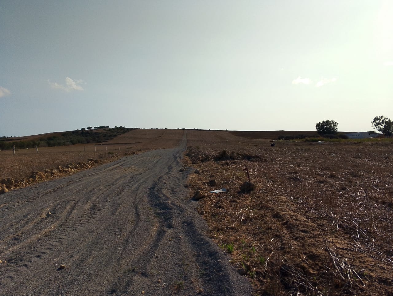 Kelibia&nbsp;Azmour&nbsp;Terrain&nbsp;Terrain nu&nbsp;Kelibia azmour des terrains disponible