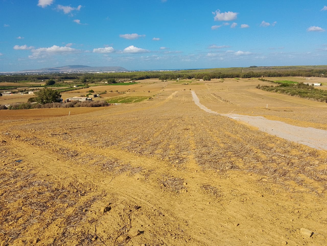 Kelibia&nbsp;Azmour&nbsp;Terrain&nbsp;Terrain nu&nbsp;Kelibia azmour des terrains disponible