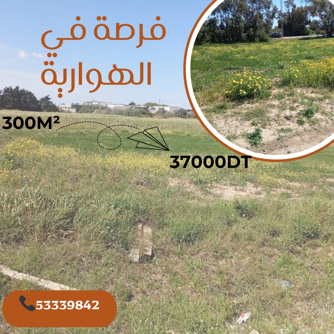 El Haouaria&nbsp;El Haouaria&nbsp;Terrain&nbsp;Terrain nu&nbsp;Terrains coomercial