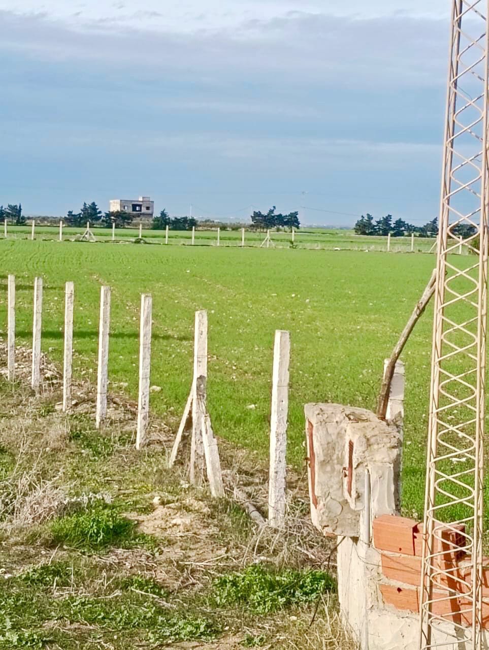 Kelibia&nbsp;Kelibia&nbsp;Terrain&nbsp;Terrain nu&nbsp;Des terrains a kelibia