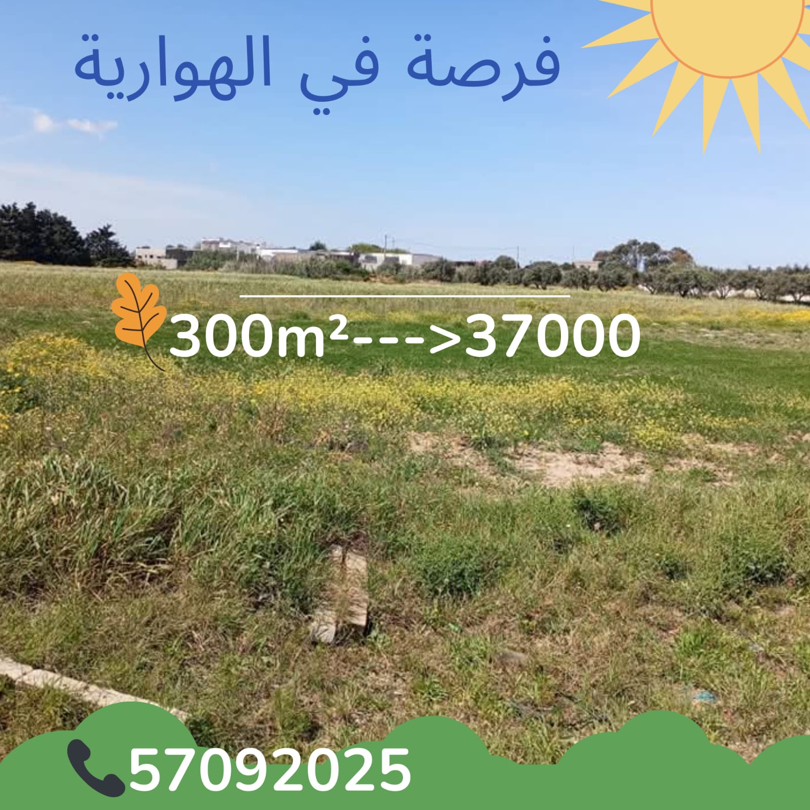 El Haouaria&nbsp;El Haouaria&nbsp;Terrain&nbsp;Terrain nu&nbsp;Elhaouari commercial