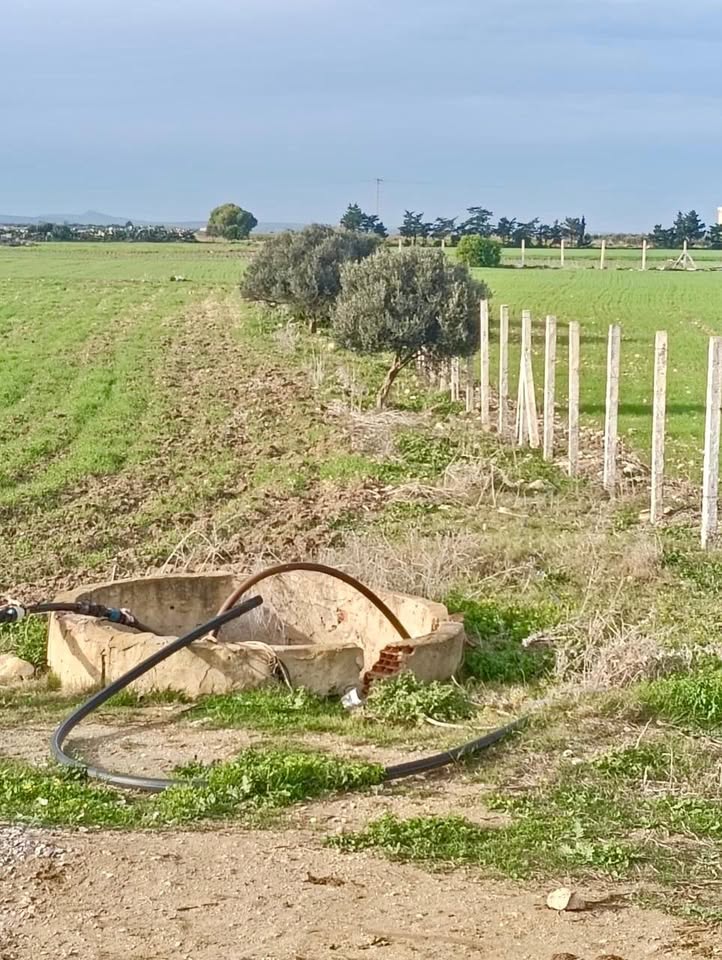 Kelibia&nbsp;Kelibia&nbsp;Terrain&nbsp;Terrain agricole&nbsp;Emplacement exceptionnel