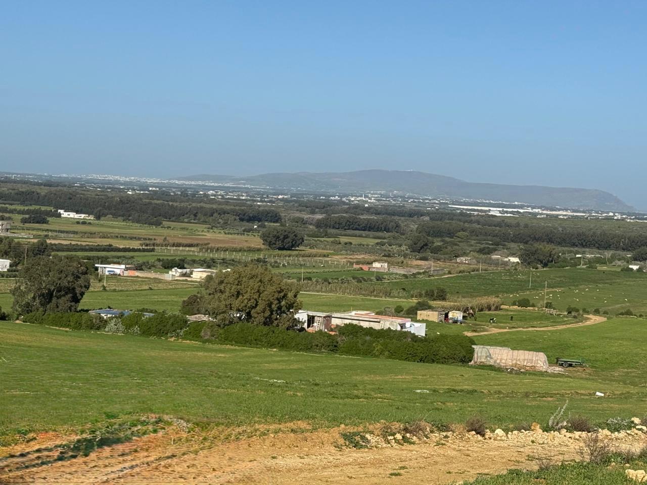 Kelibia&nbsp;Azmour&nbsp;Terrain&nbsp;Terrain agricole&nbsp;Prix imbattable pour le secteur