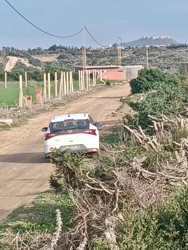 Kelibia&nbsp;Kelibia&nbsp;Terrain&nbsp;Terrain agricole&nbsp;Terrain id�al � l'entr�e de k�libia