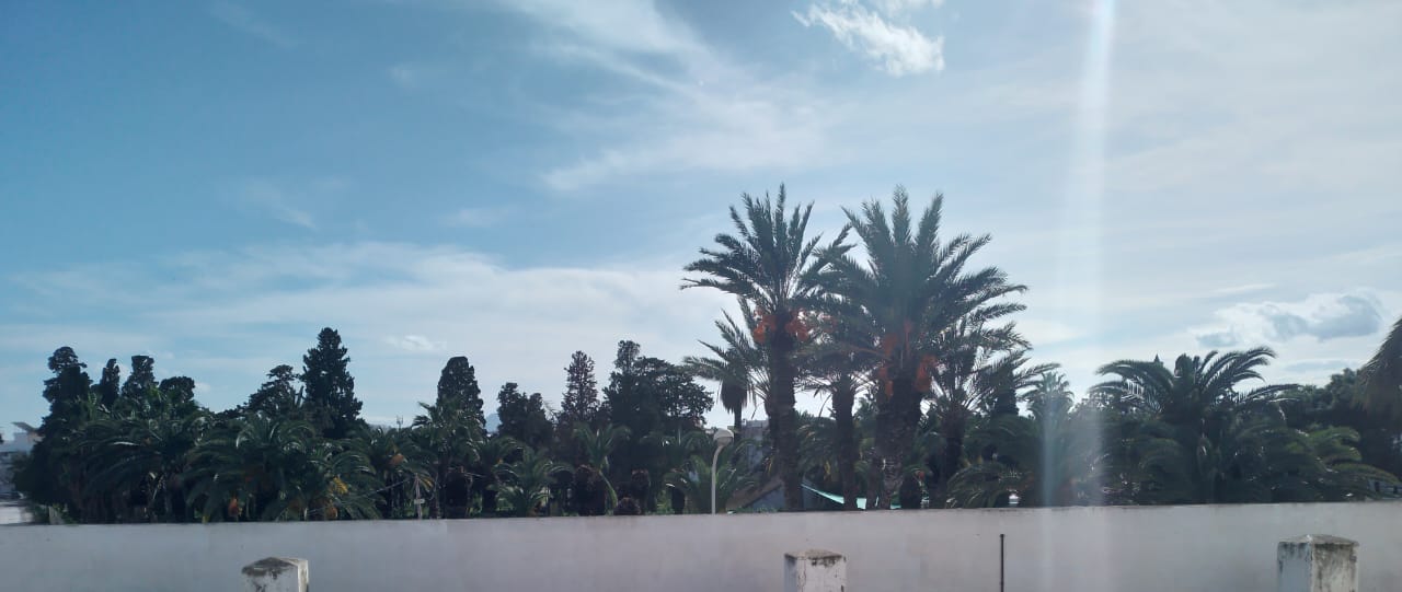 El Kram&nbsp;Le Kram&nbsp;Location&nbsp;Autre&nbsp;Bureaux  1ier niveau d'un immeuble au kram centre