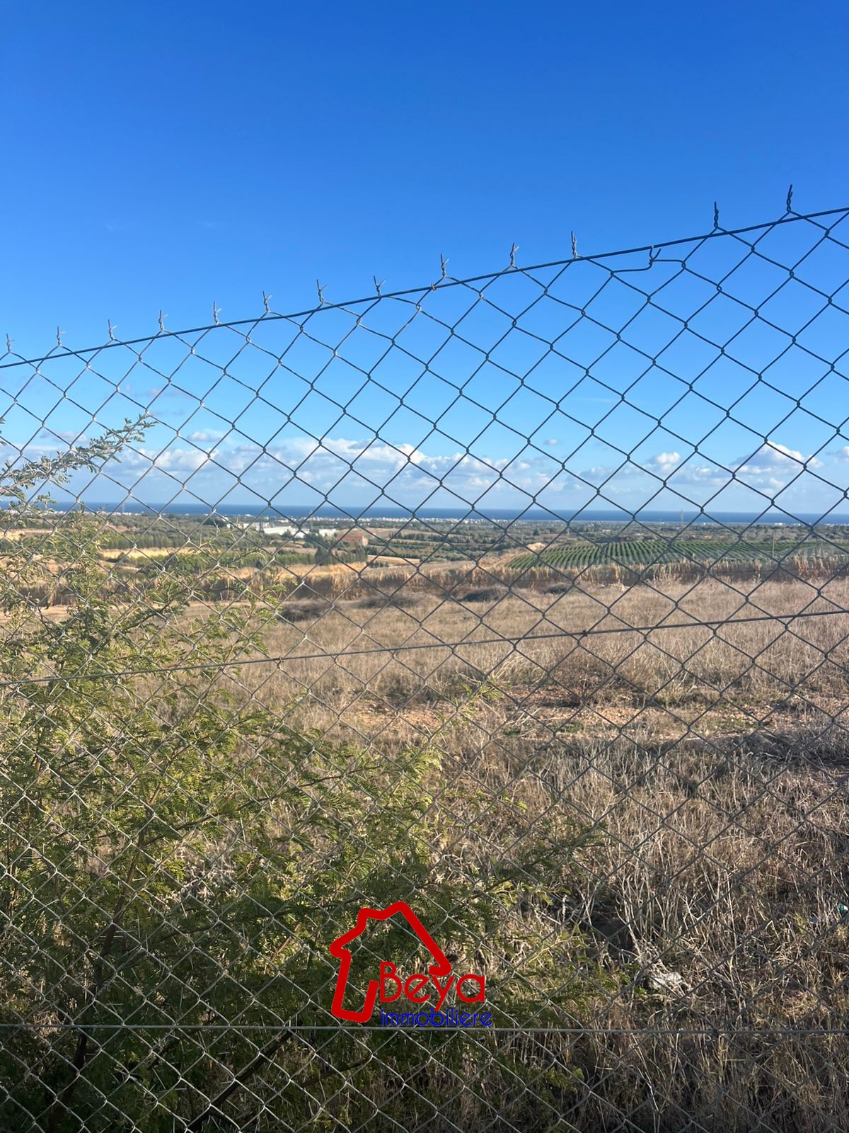 Beni Khiar&nbsp;Somaa&nbsp;Terrain&nbsp;Terrain agricole&nbsp;Deux hectares cl�tur�s avec oliviers