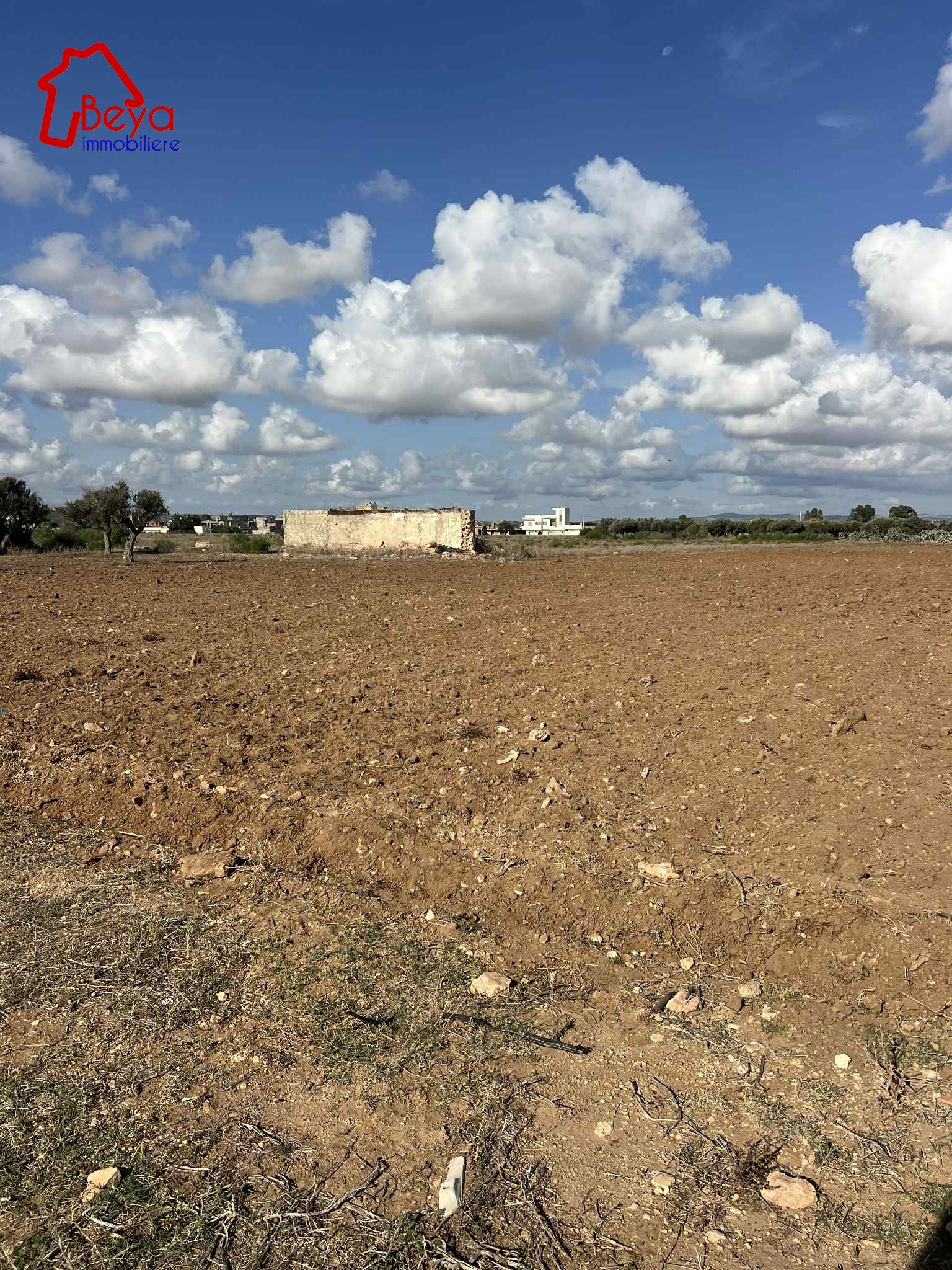 Korba&nbsp;Korba&nbsp;Terrain&nbsp;Terrain nu&nbsp;Terrain korba vtm088