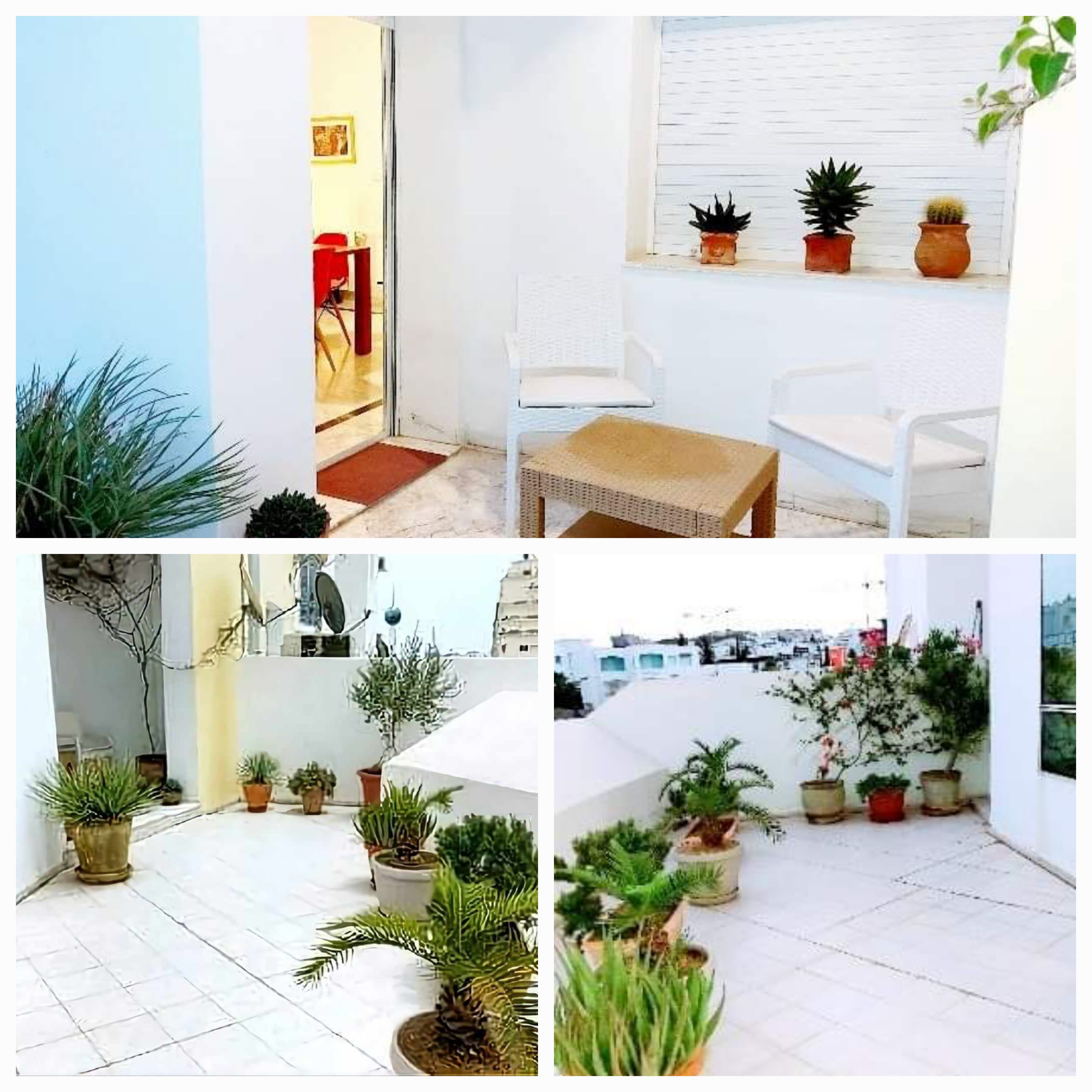 Ariana Ville&nbsp;Cite Ennasr 2&nbsp;Location&nbsp;Appart. 3 pi�ces&nbsp;Particulier l s2 meubl� excellent pr �tranger