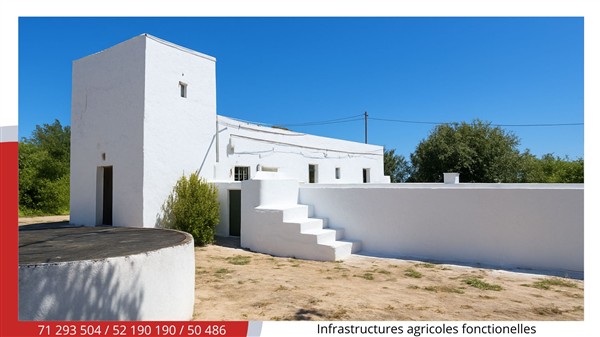 Menzel Bouzelfa&nbsp;Menzel Bouzelfa&nbsp;Terrain&nbsp;Terrain agricole&nbsp;Terrain agricole d agrumes de 5 ha