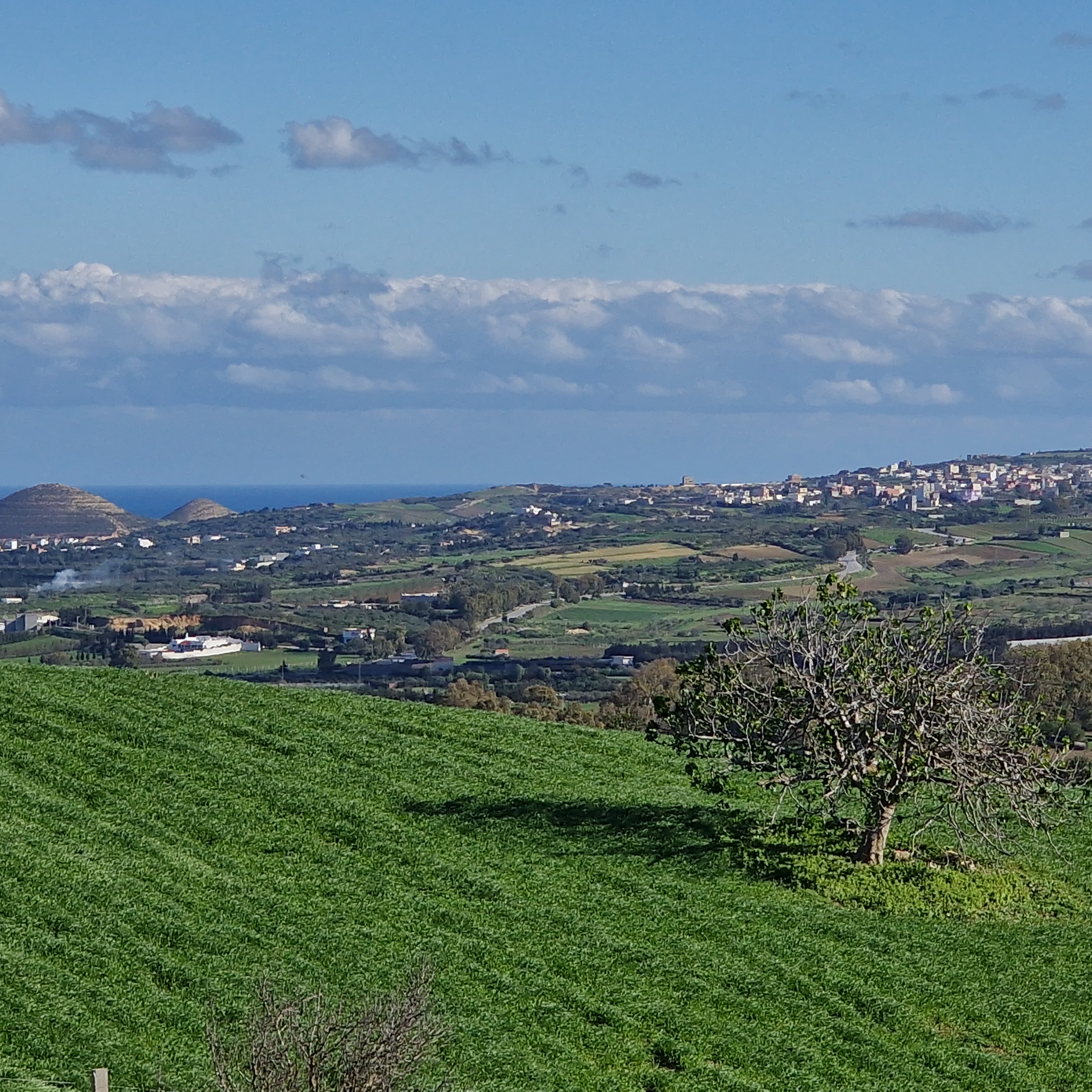 Ghar El Melh&nbsp;Aousja&nbsp;Terrain&nbsp;Terrain agricole&nbsp;1 hectares 500 m2 avec permis de construire