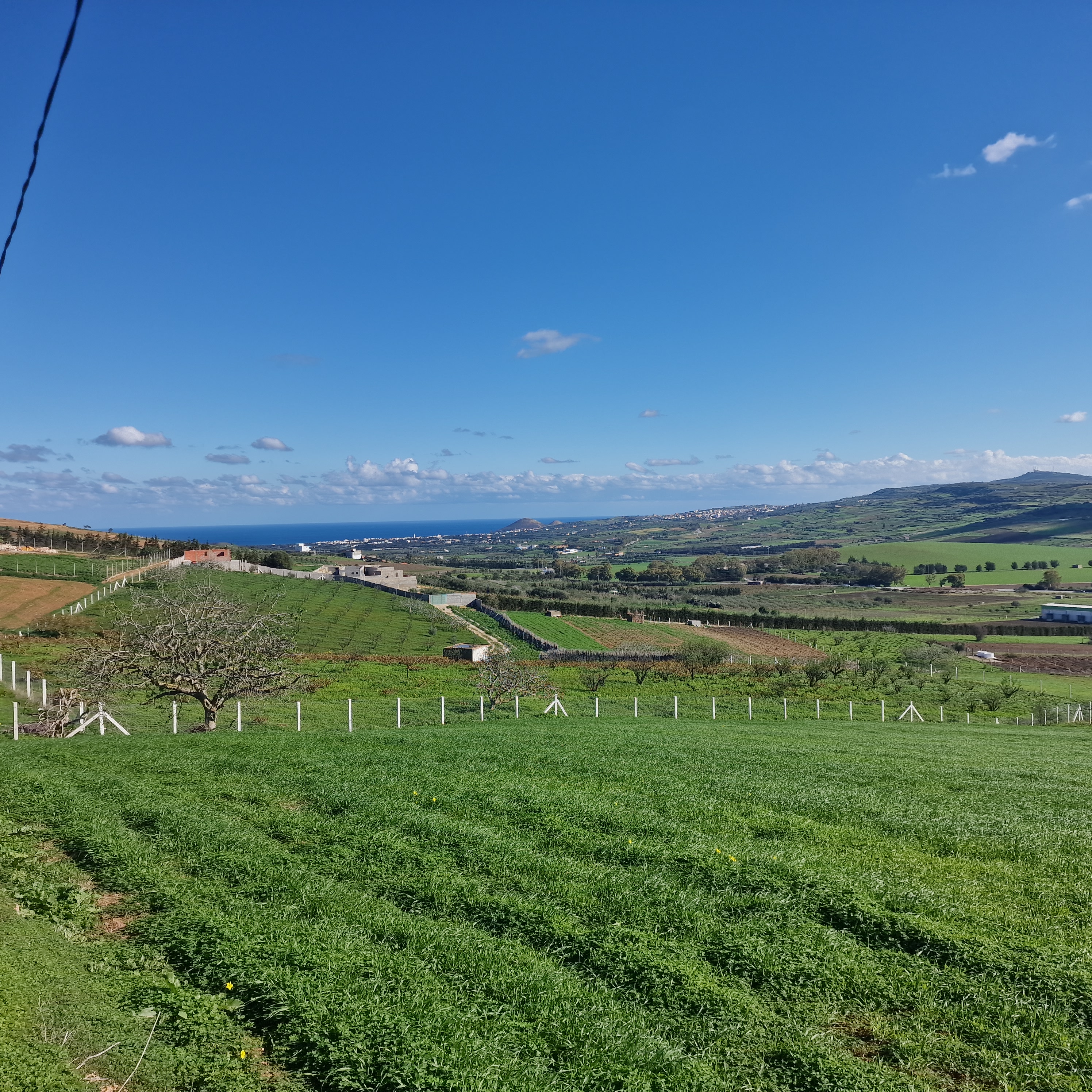 Ghar El Melh&nbsp;Aousja&nbsp;Terrain&nbsp;Terrain agricole&nbsp;Terrain agricole 2650 m2 avec vue mer
