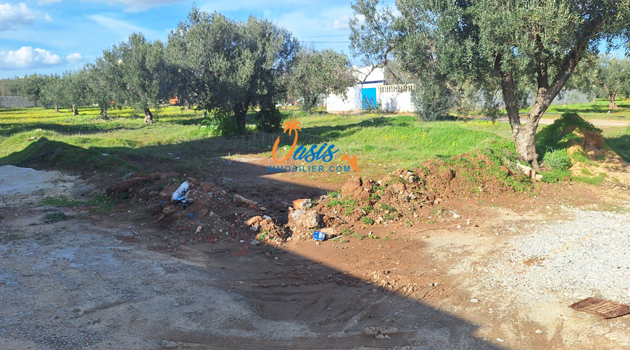 Hammamet&nbsp;Hammamet&nbsp;Terrain&nbsp;Terrain nu&nbsp;Terrain en face de yasmine hammamet