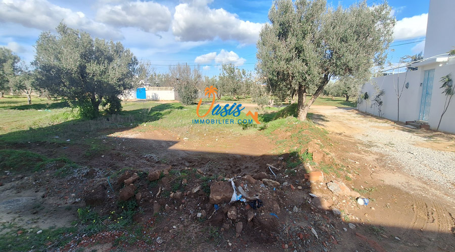 Hammamet&nbsp;Hammamet&nbsp;Terrain&nbsp;Terrain nu&nbsp;Terrain en face de yasmine hammamet