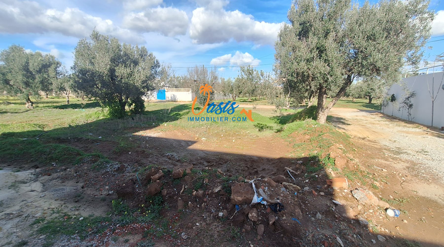 Hammamet&nbsp;Hammamet&nbsp;Terrain&nbsp;Terrain nu&nbsp;Terrain en face de yasmine hammamet