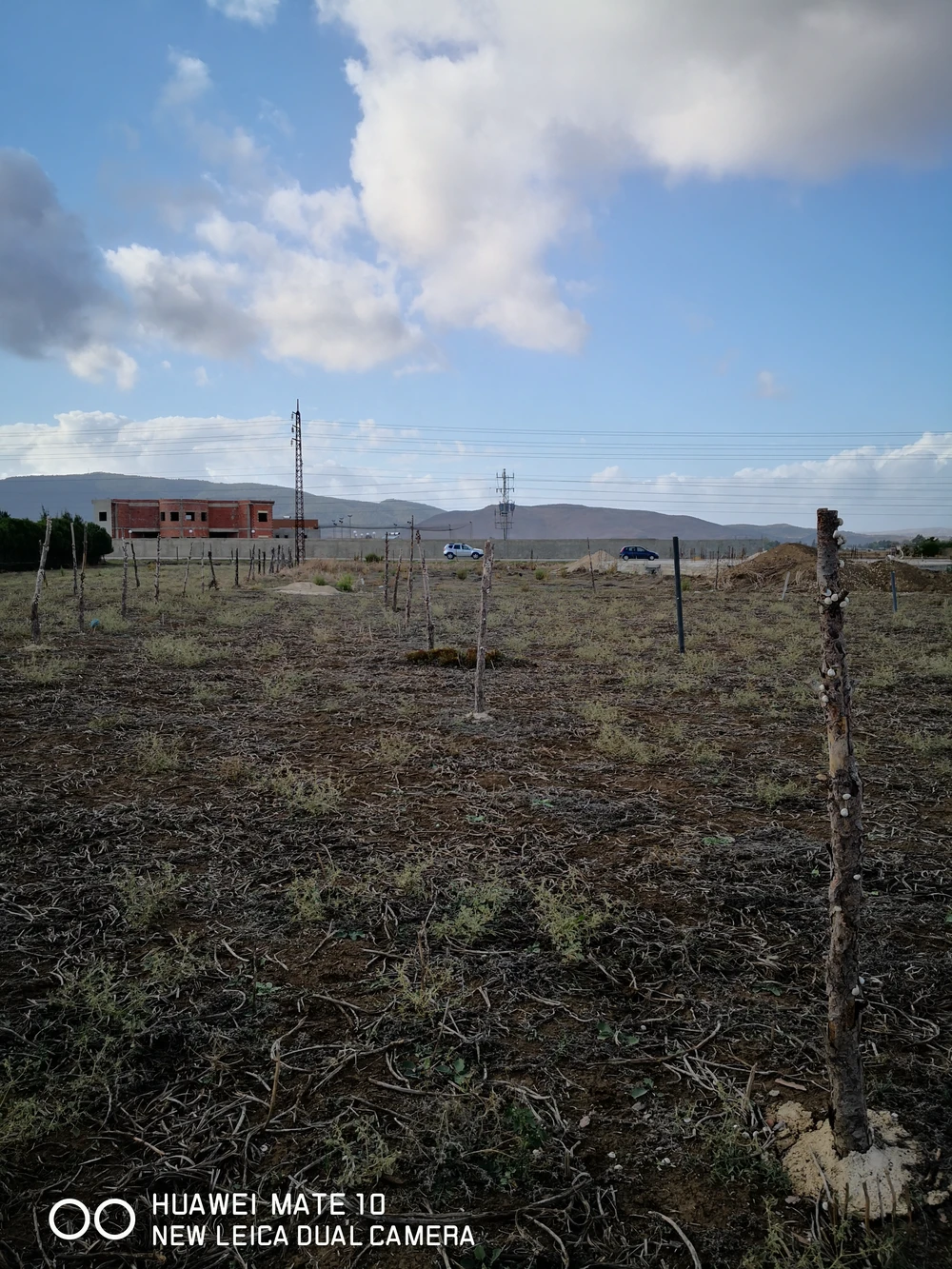 Jendouba&nbsp;Jendouba&nbsp;Terrain&nbsp;Terrain nu&nbsp;Terrain 800m