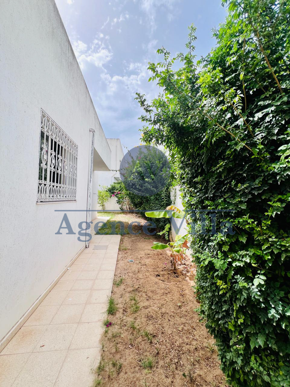 La Marsa&nbsp;Marsa Safsaf&nbsp;Location&nbsp;Appart. 4 pi�ces&nbsp;Villa plein pieds s3 avec jardin � la marsa