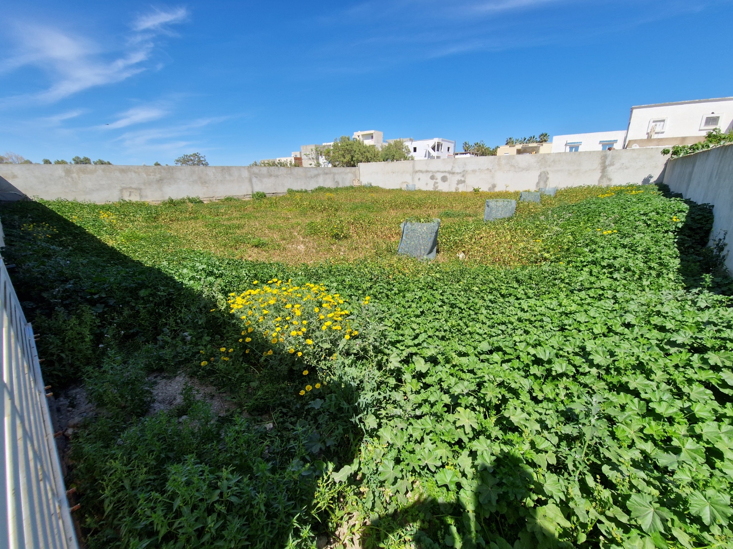 La Marsa&nbsp;Cite Bhar Lazreg&nbsp;Terrain&nbsp;Terrain nu&nbsp;Terrain titre individuel 793 m2 cl�tur�