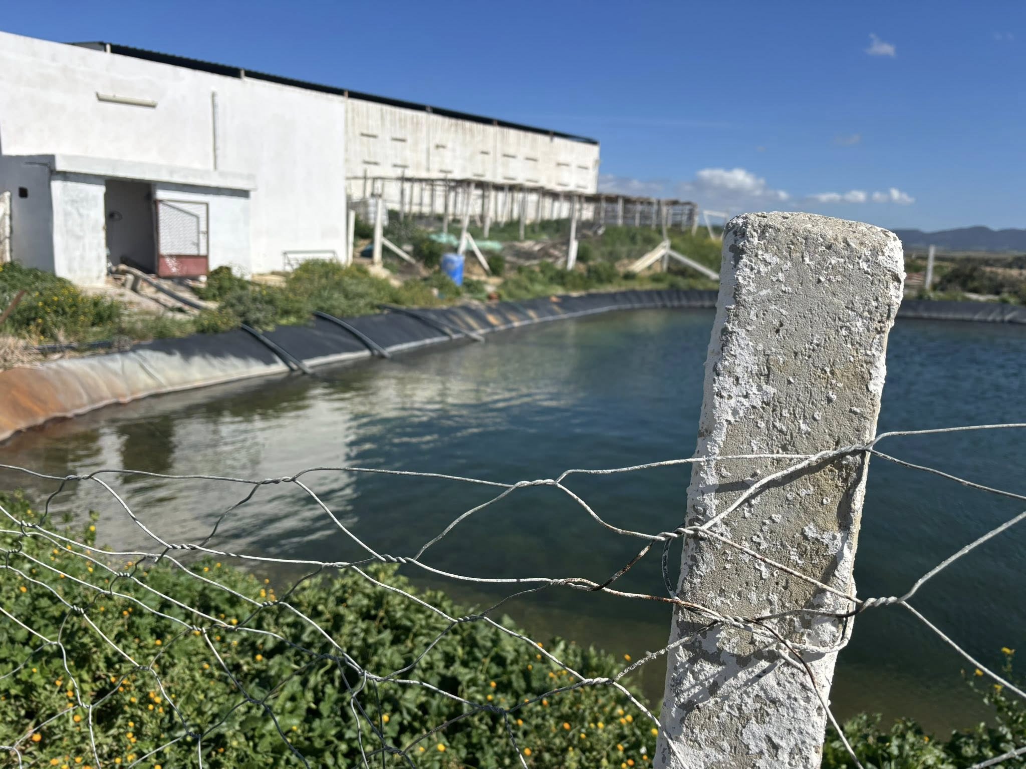 Zaghouan&nbsp;Zaghouan&nbsp;Terrain&nbsp;Terrain agricole&nbsp;Terrain a zaghouan