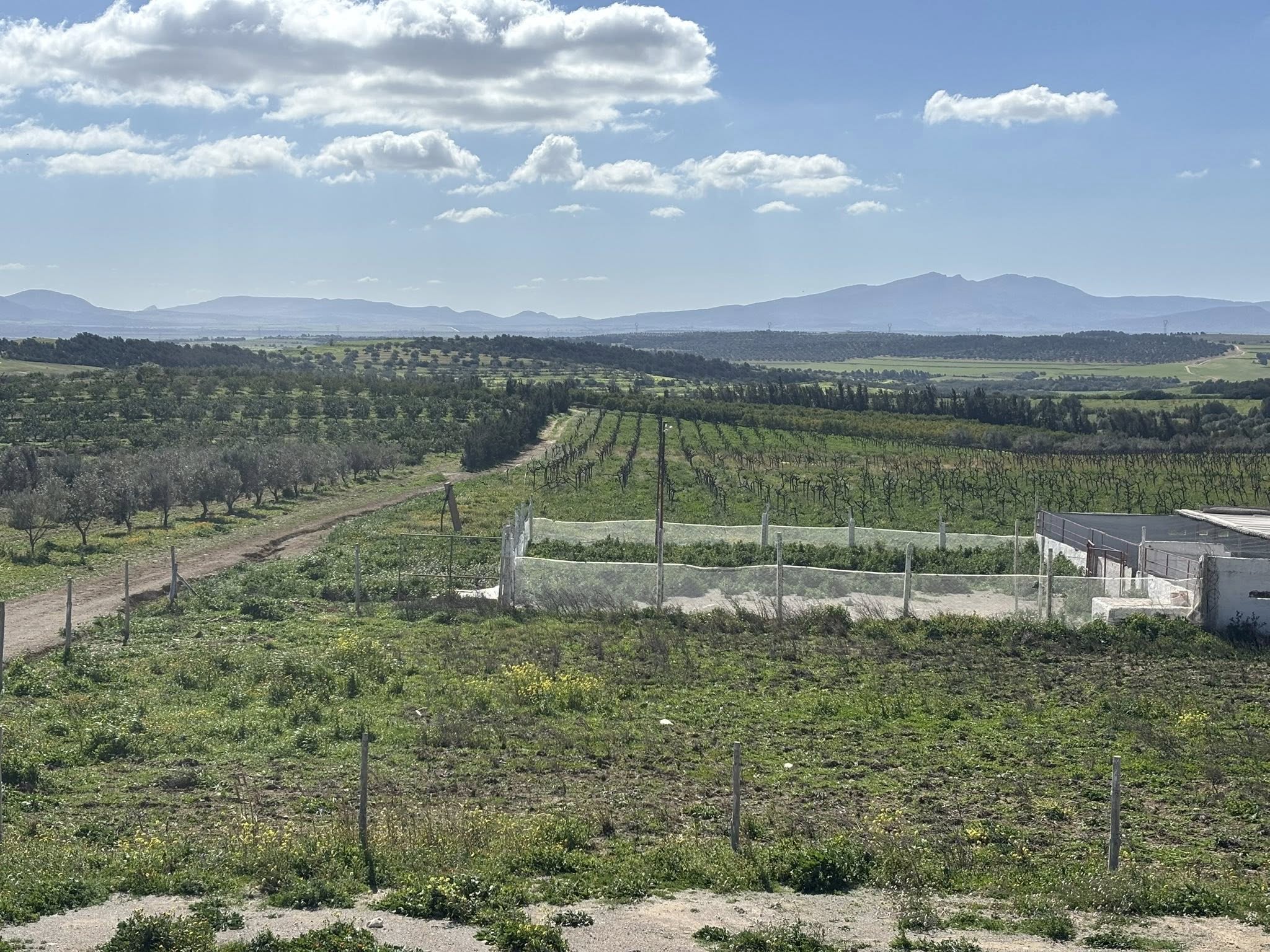 Zaghouan&nbsp;Zaghouan&nbsp;Terrain&nbsp;Terrain agricole&nbsp;Terrain a zaghouan