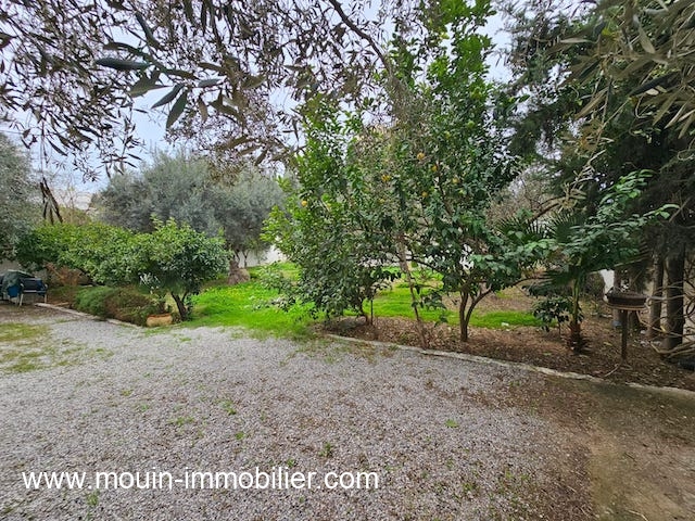 Hammamet&nbsp;Hammamet&nbsp;Location&nbsp;Appart. 5 pi�ces+&nbsp;Appartement nahrawes al3681 hammamet nord