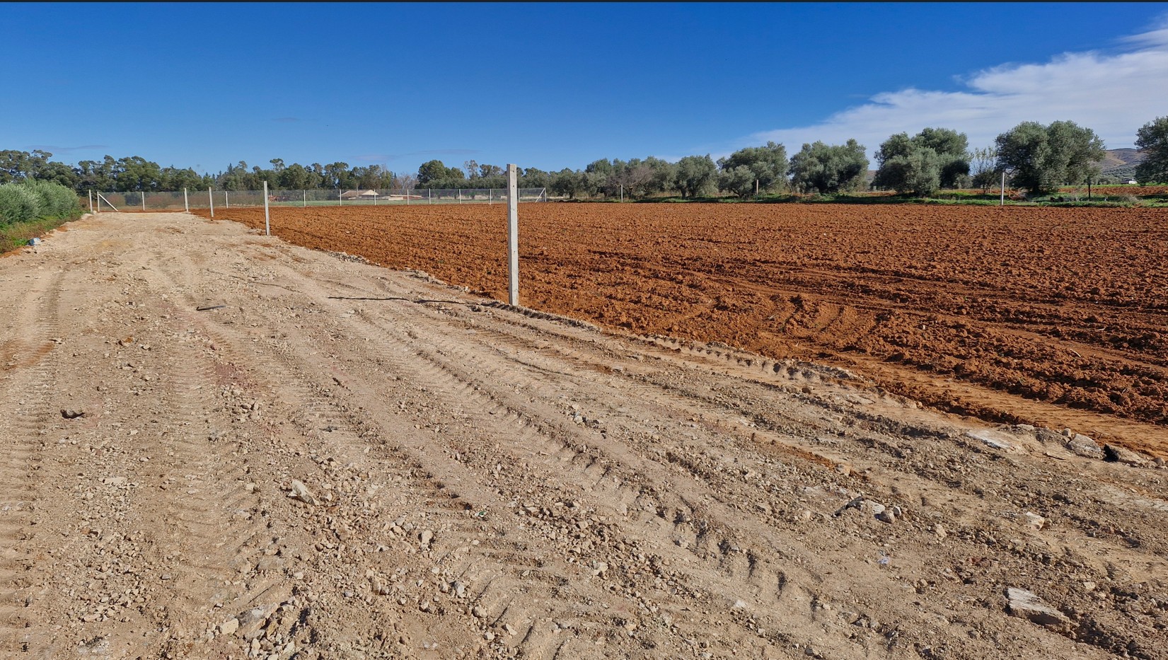 Sidi Thabet&nbsp;Sidi Thabet&nbsp;Terrain&nbsp;Terrain agricole&nbsp;Lots de terrain de 1000 m situ�s � sidi thabet