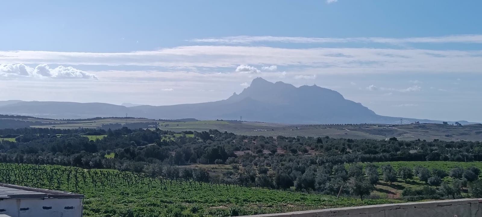 Zaghouan&nbsp;Zaghouan&nbsp;Terrain&nbsp;Terrain agricole&nbsp;Ferme agricole de 86 h