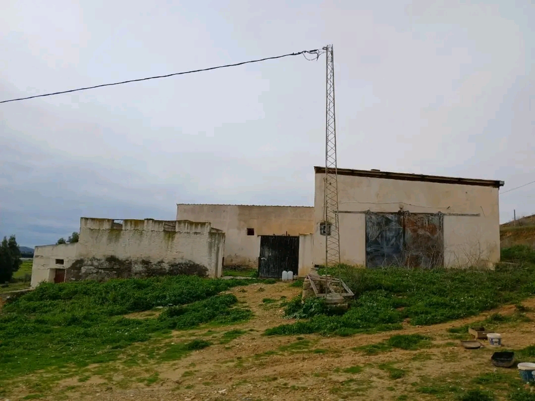 Zaghouan&nbsp;Zaghouan&nbsp;Terrain&nbsp;Terrain agricole&nbsp;Ferme d oliviers � 5 km du centre de zaghouan